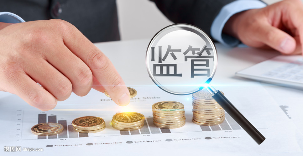 金融監(jiān)管與投資管理 保障市場(chǎng)穩(wěn)健運(yùn)行的雙重支柱